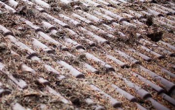 Kirkhouse roof cleaning companies